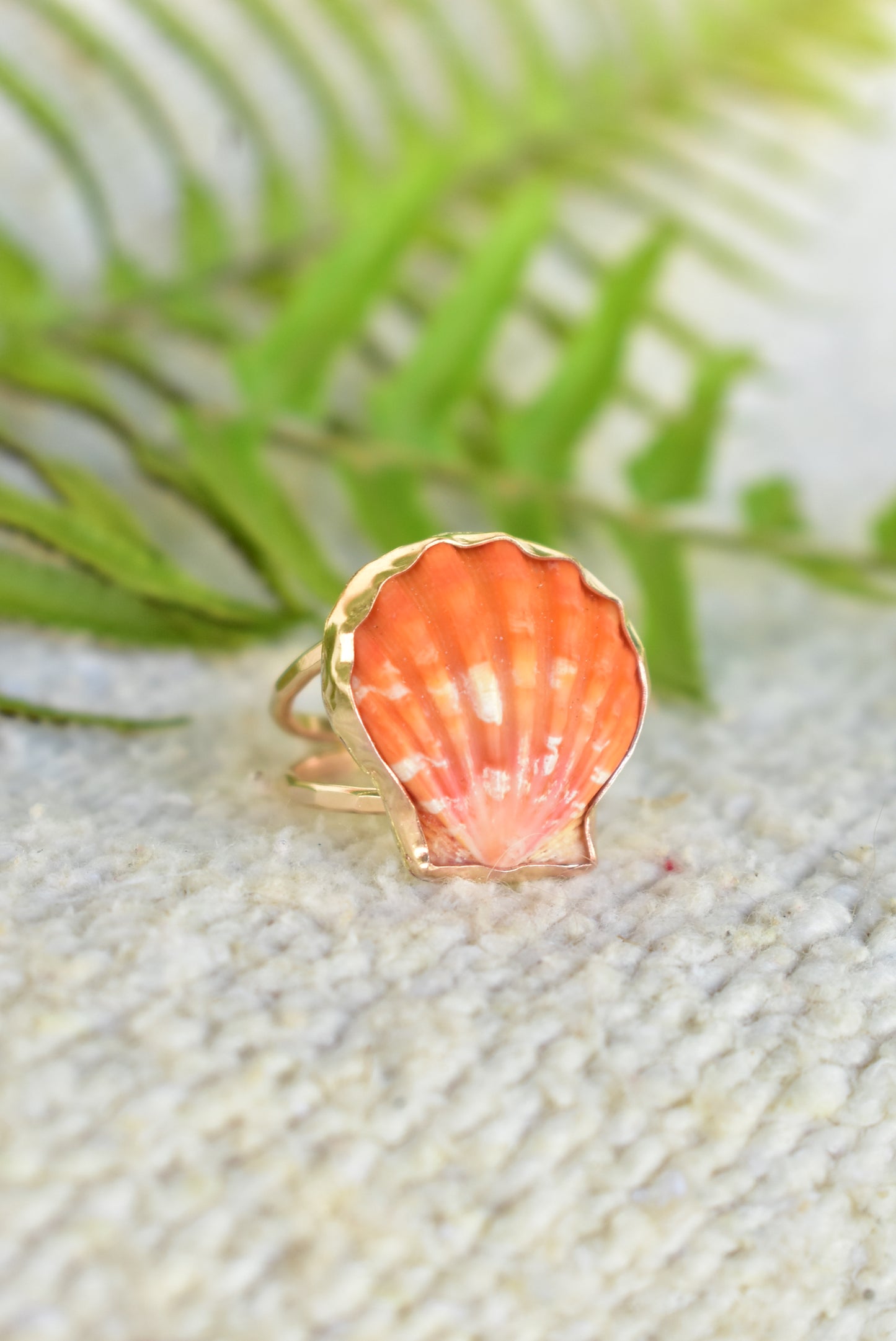 Sunrise shell ring