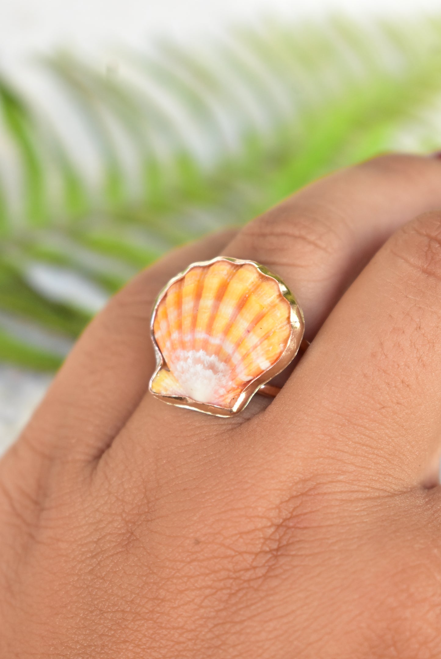 Sunrise shell ring