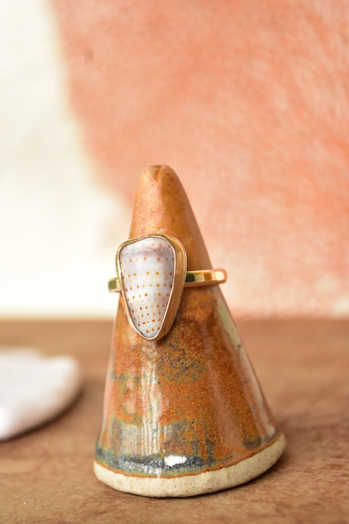 Shell chip ring