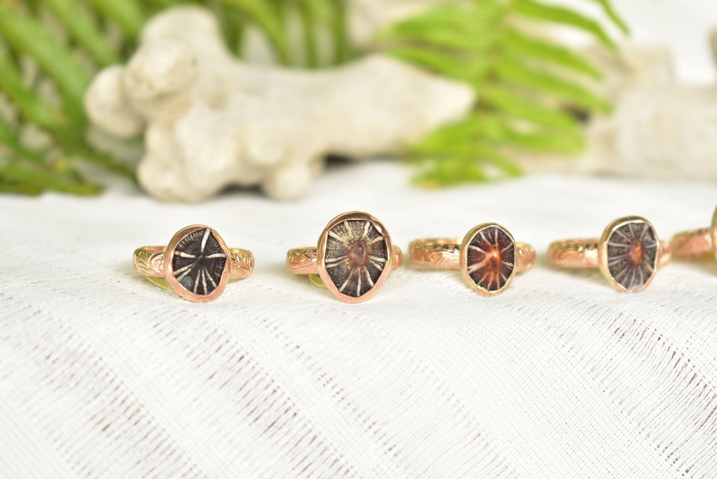 Opihi ring