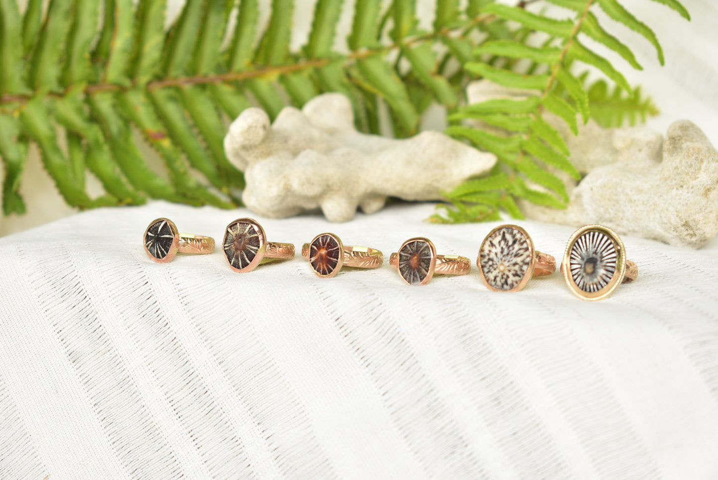 Opihi ring