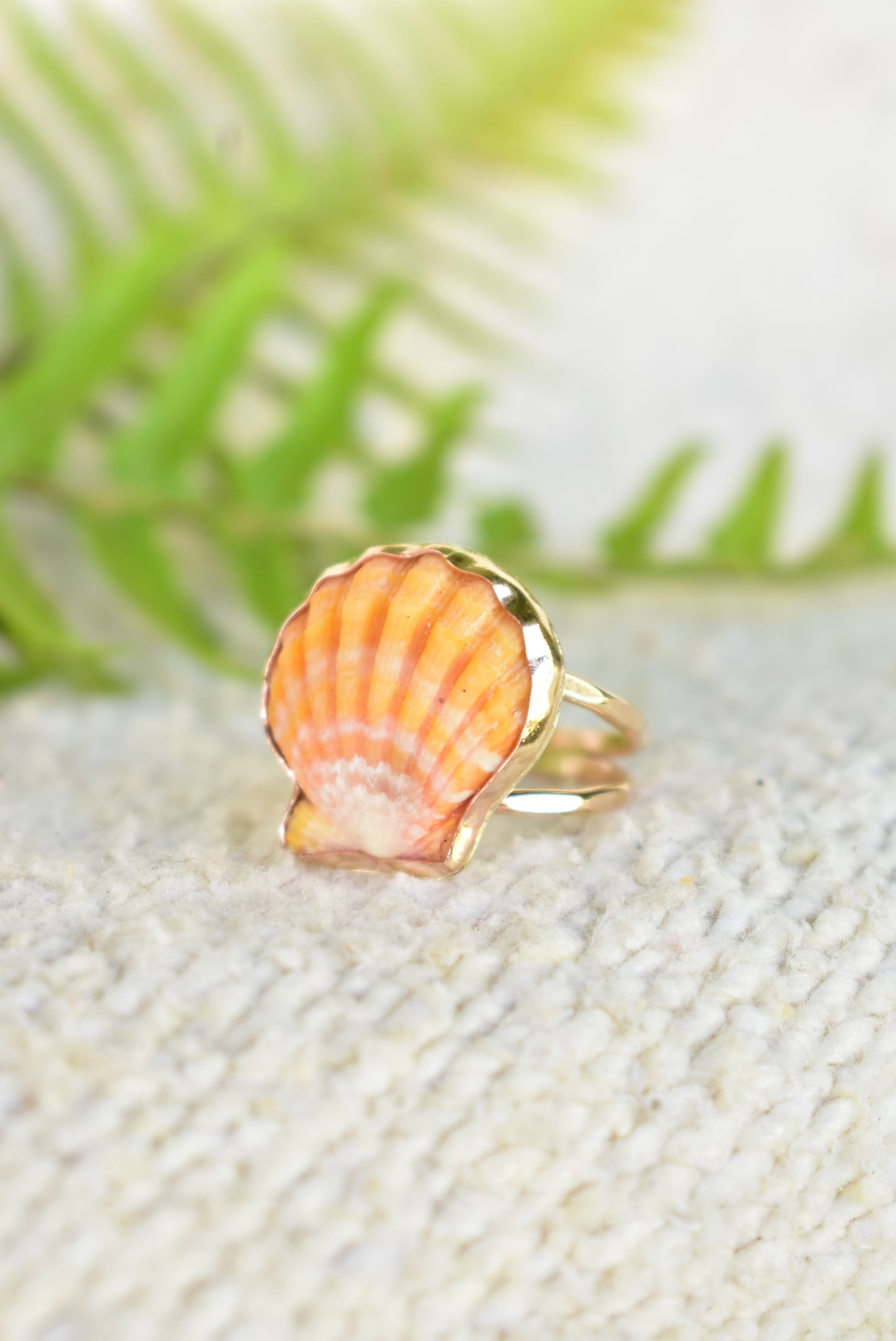 Sunrise shell ring