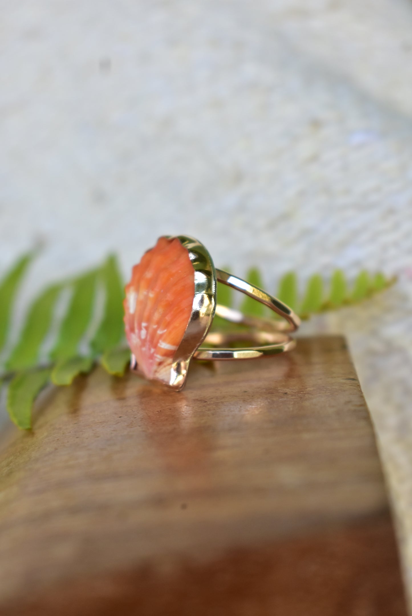 Sunrise shell ring