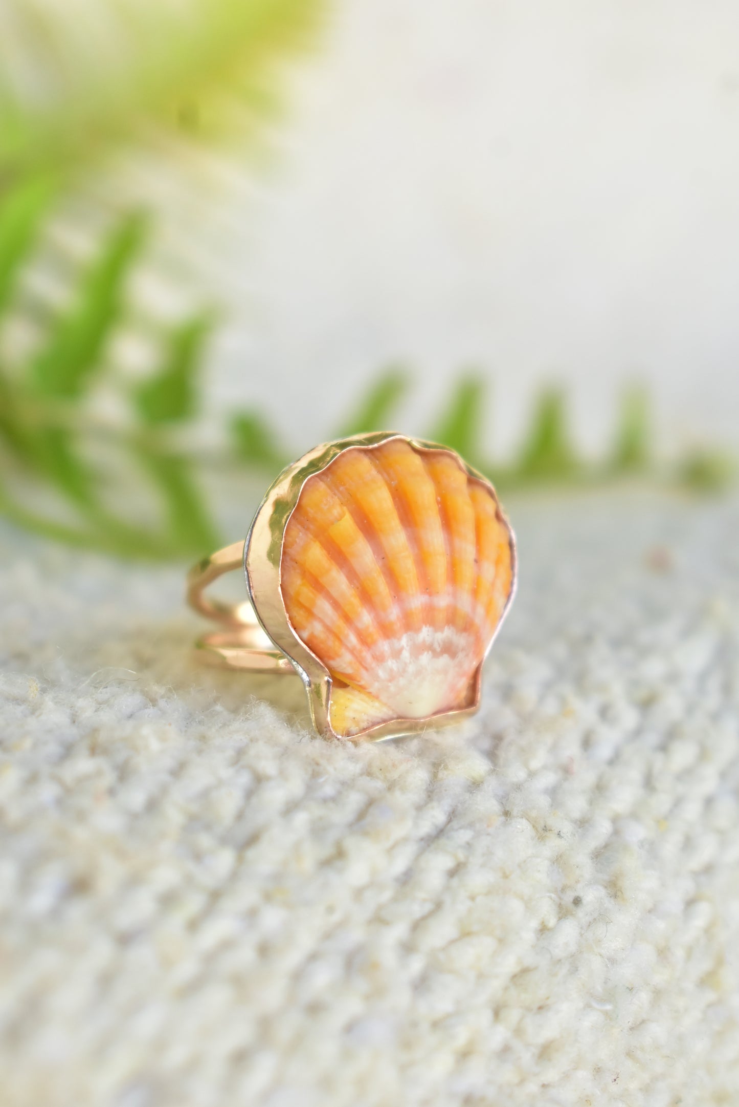 Sunrise shell ring