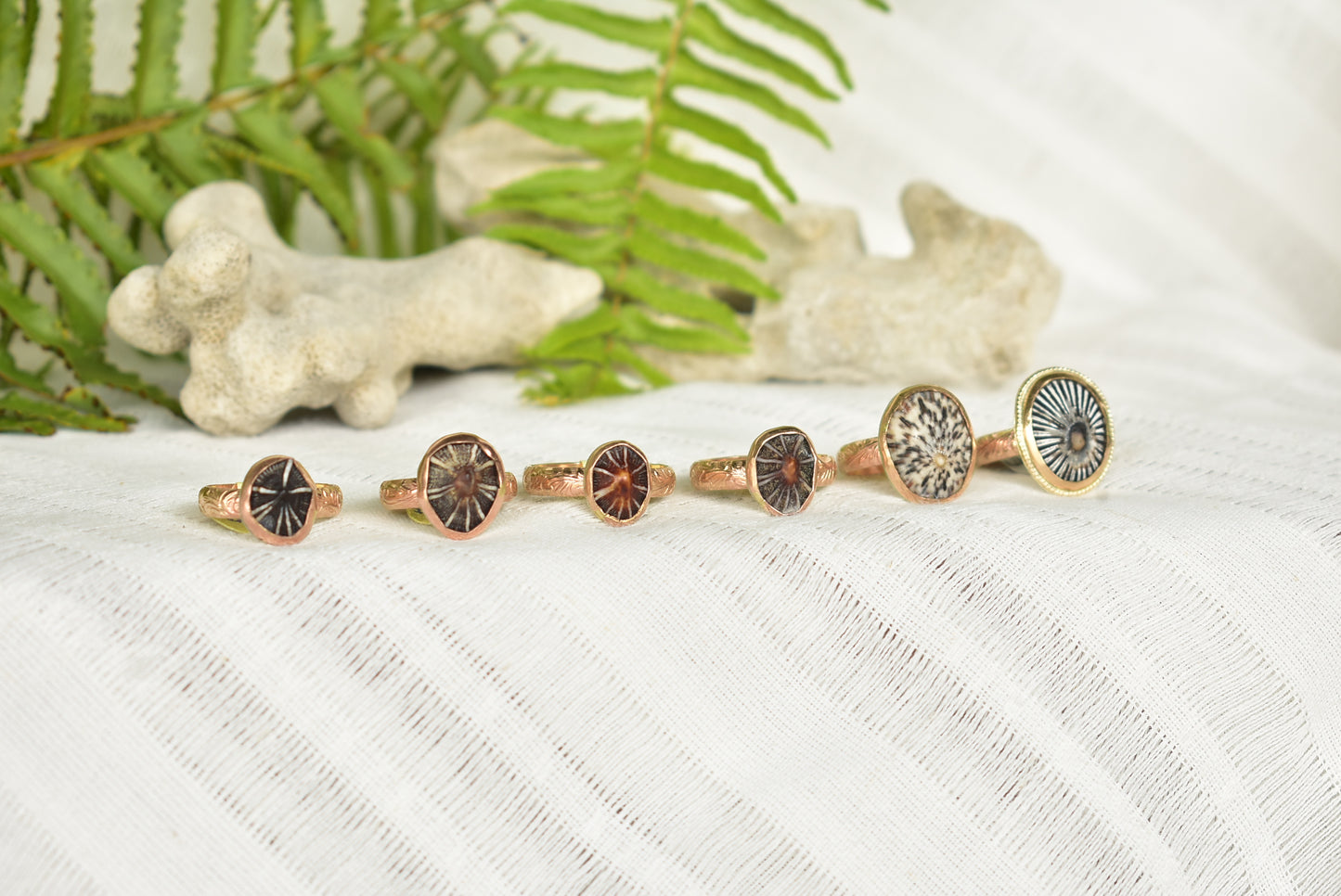 Opihi ring