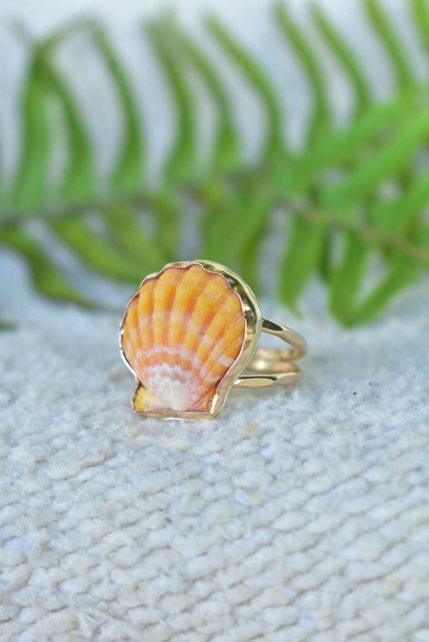 Sunrise shell ring