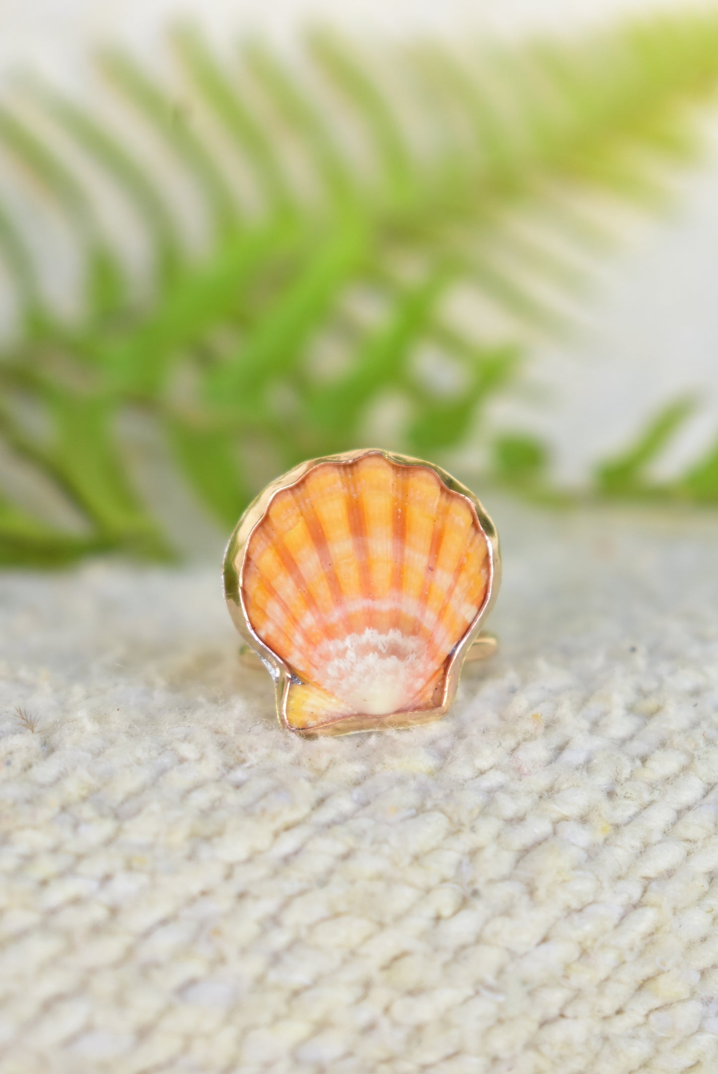 Sunrise shell ring