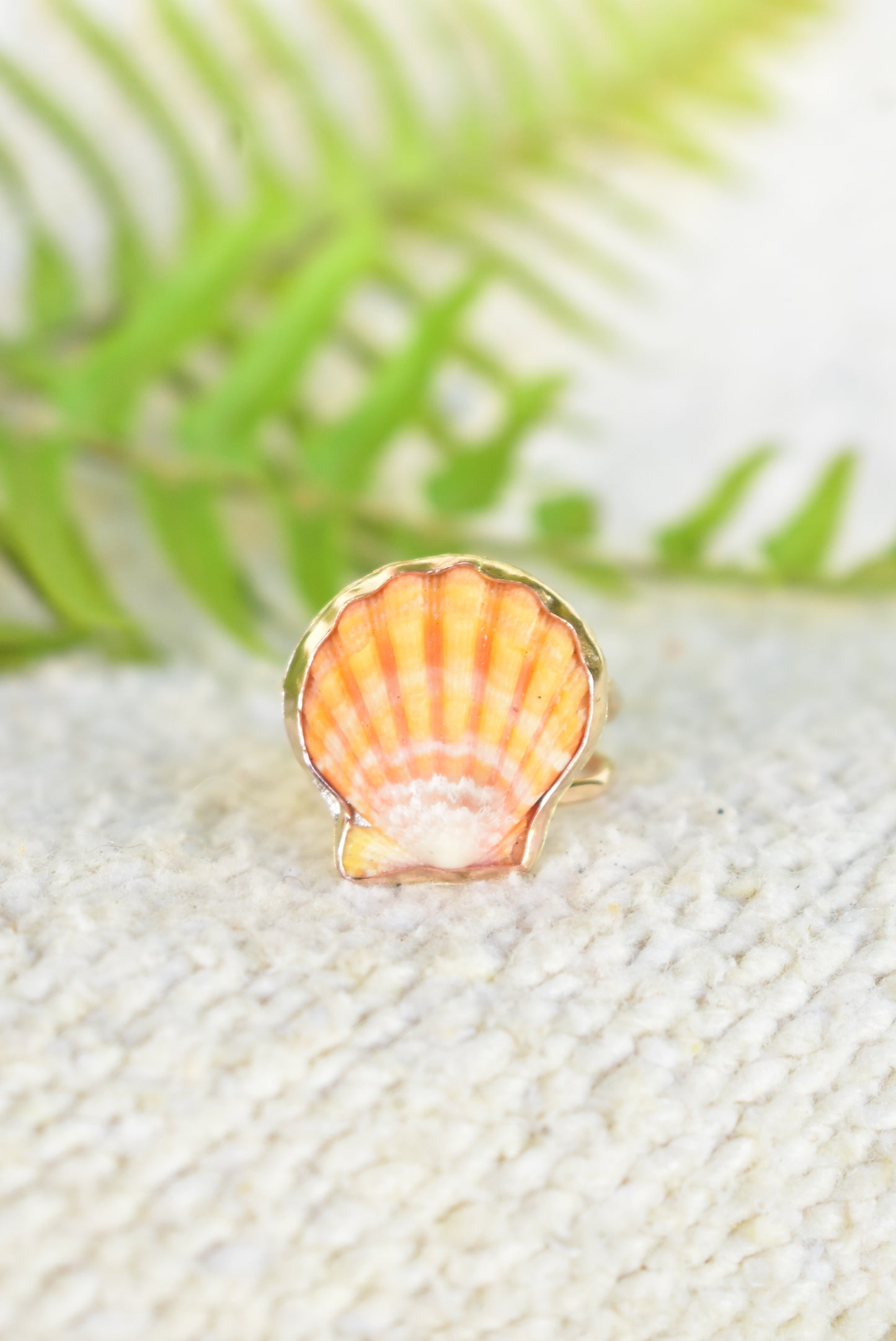 Sunrise shell ring