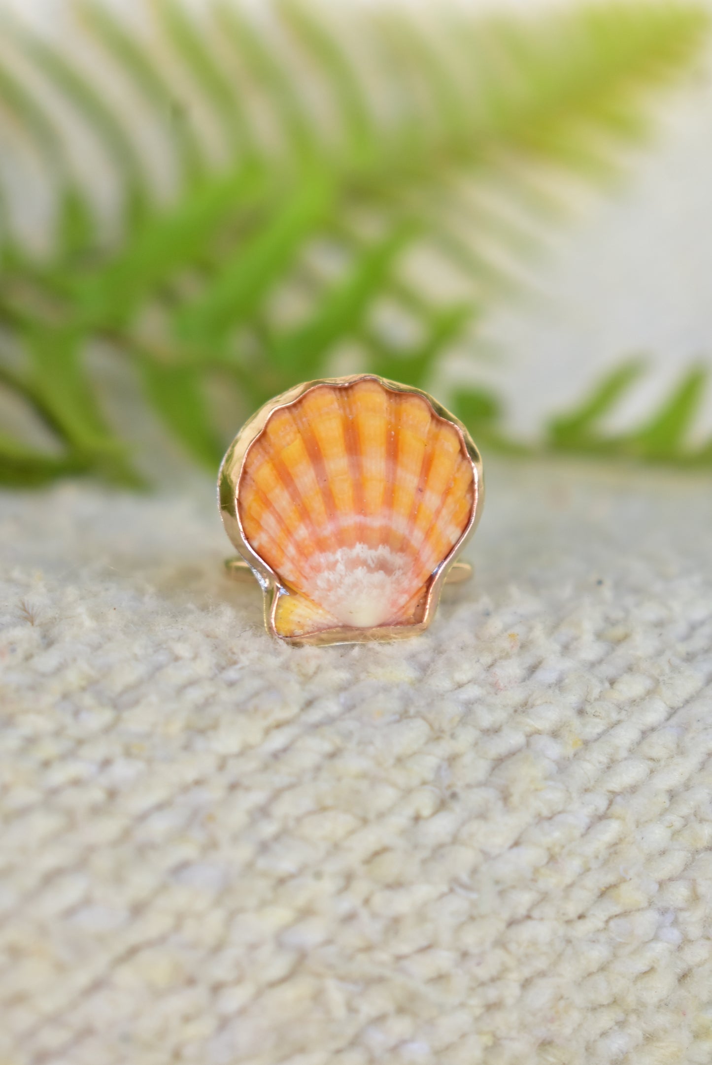 Sunrise shell ring