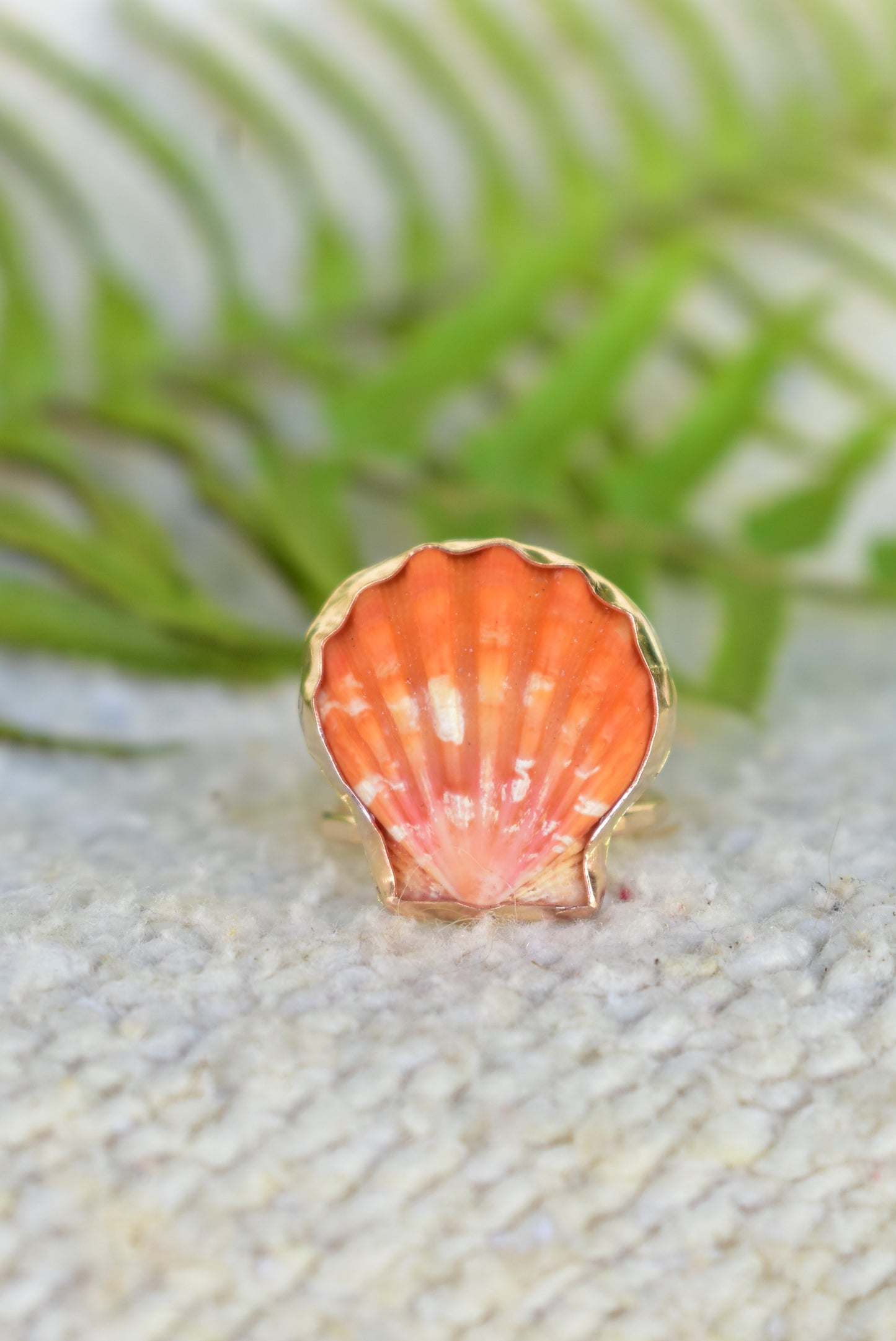 Sunrise shell ring