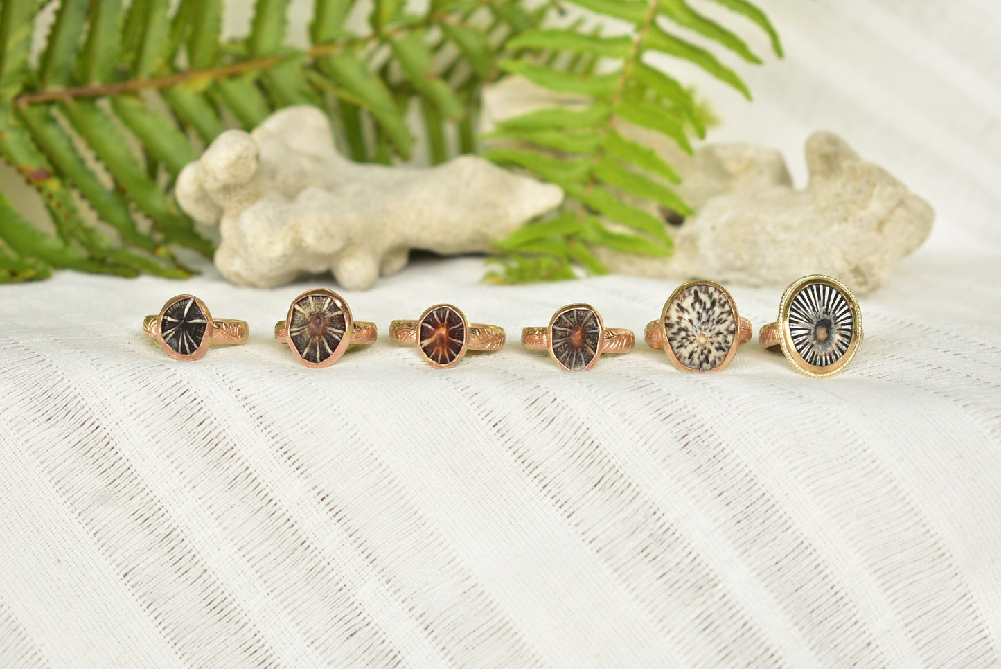 Opihi ring