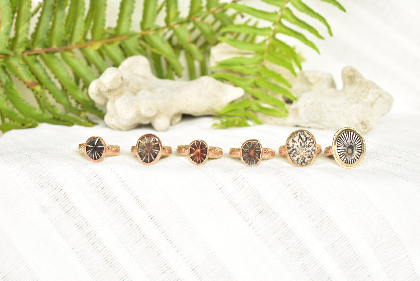 Opihi ring