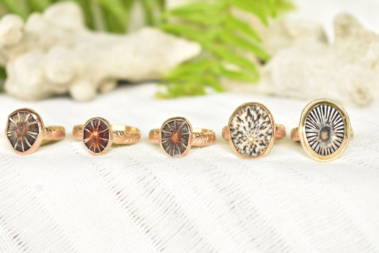 Opihi ring