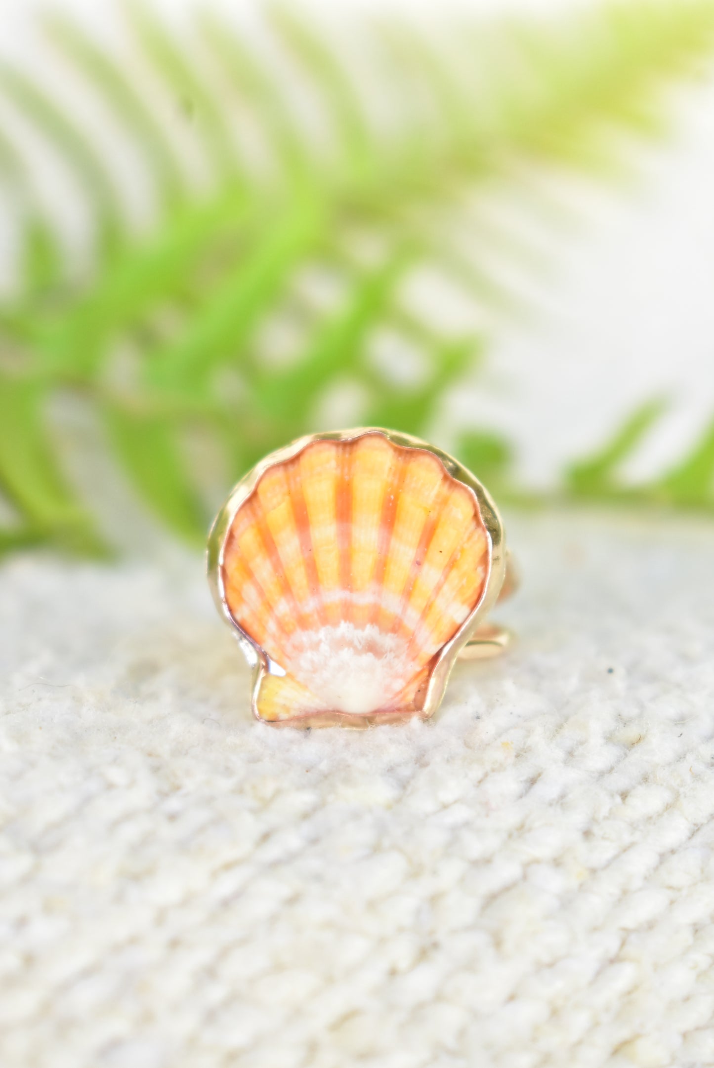 Sunrise shell ring