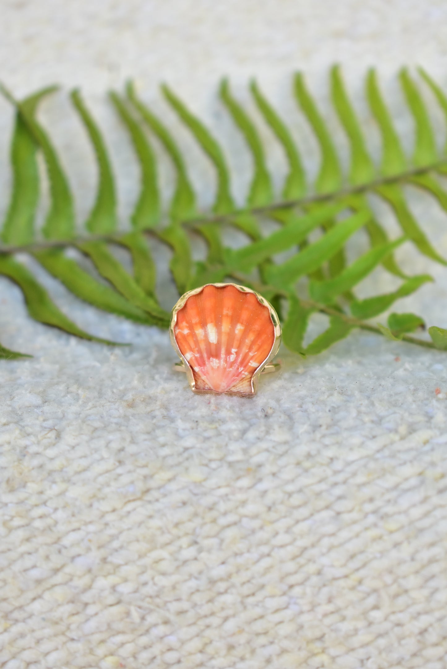 Sunrise shell ring