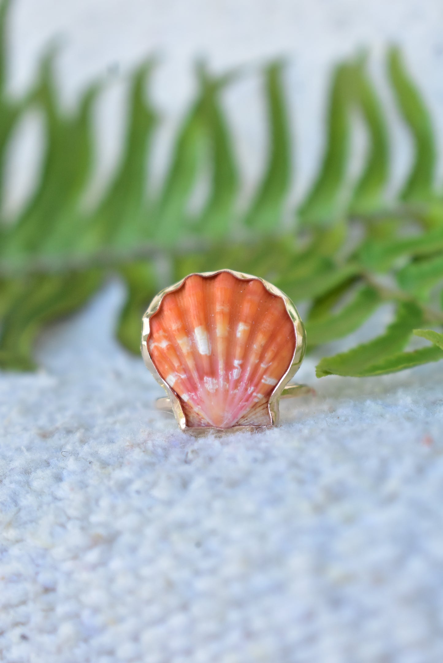 Sunrise shell ring