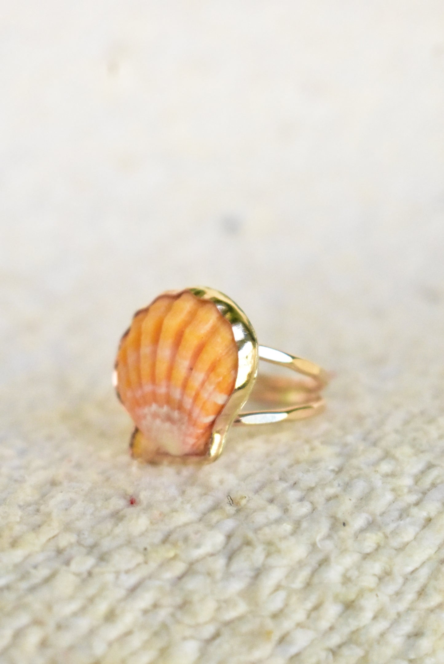 Sunrise shell ring
