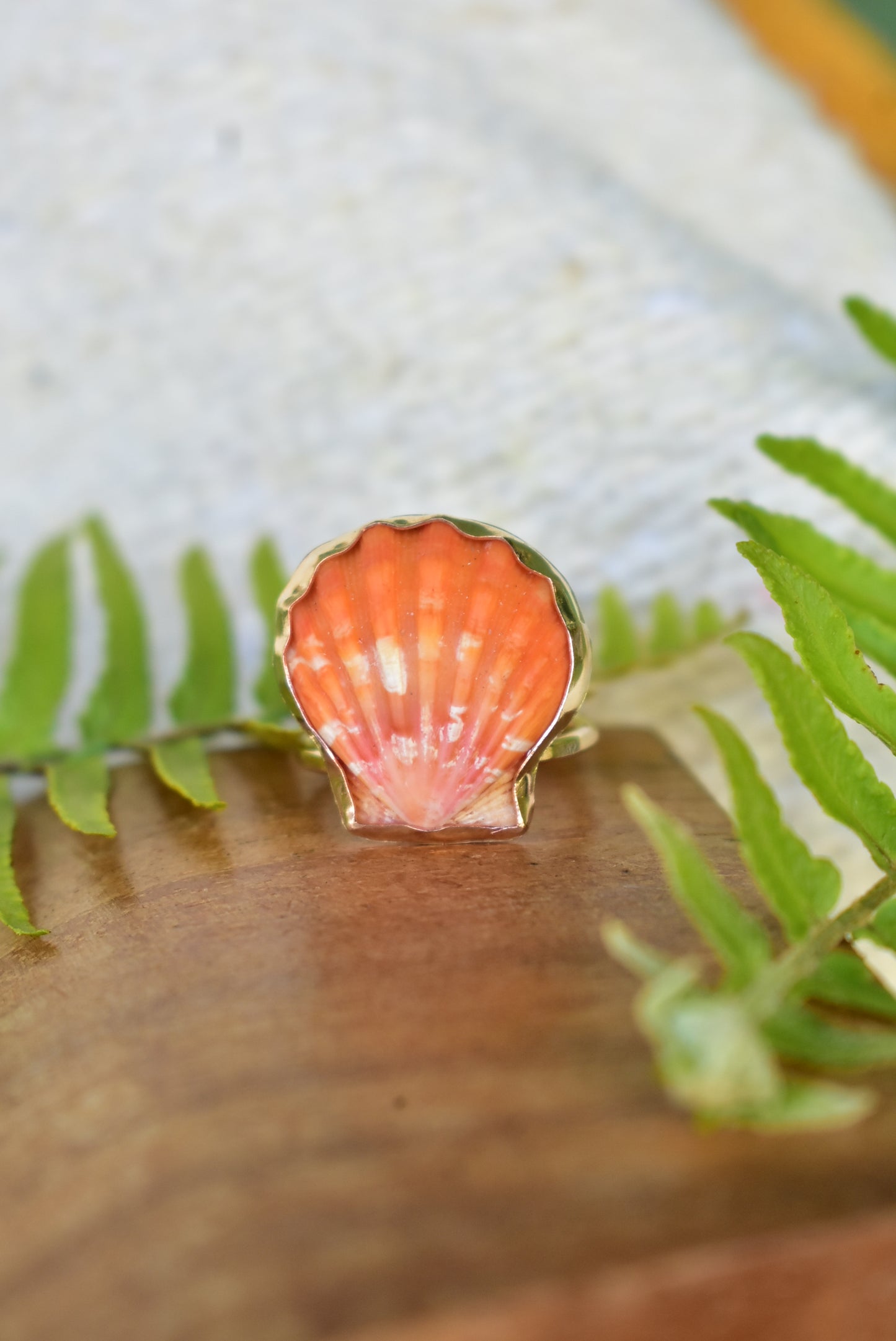 Sunrise shell ring