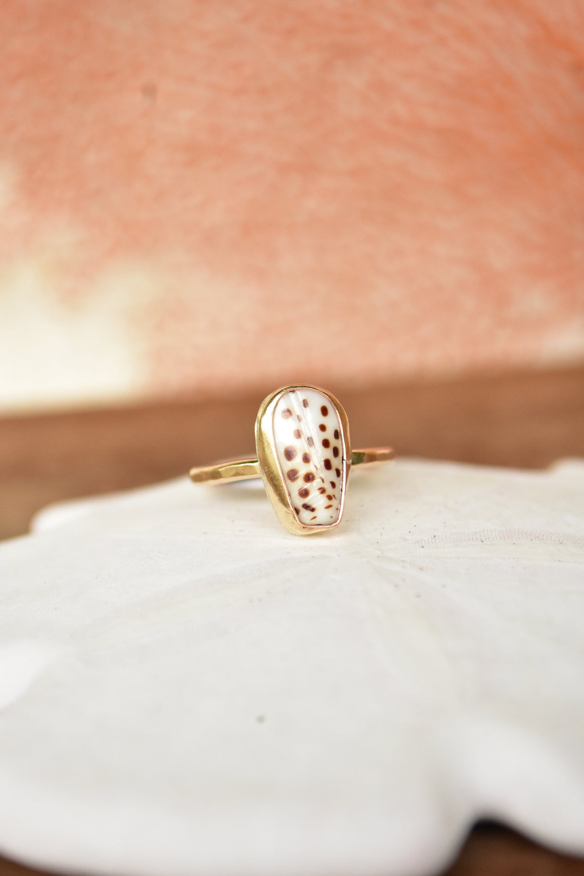 Flea cone shell chip ring