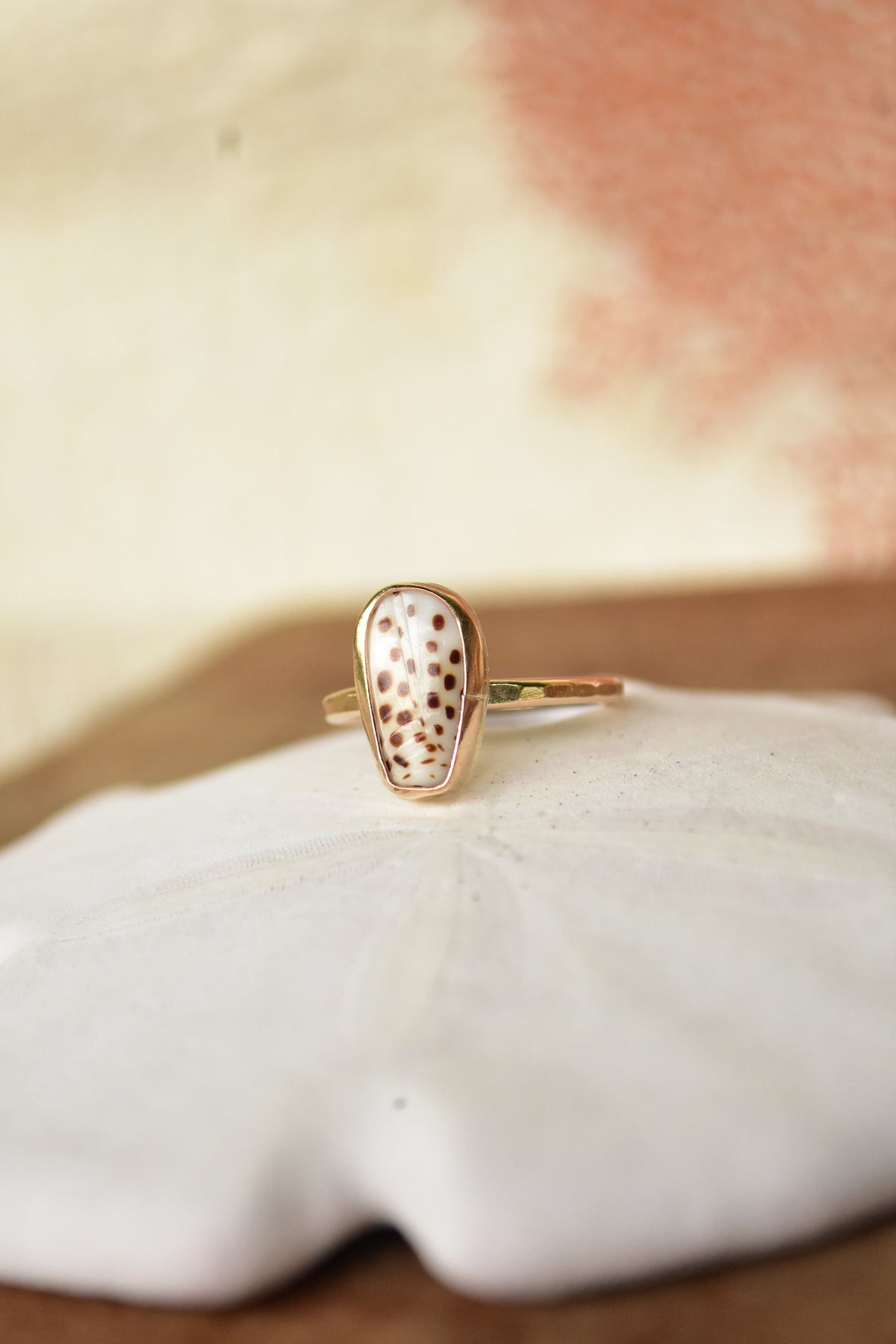 Flea cone shell chip ring