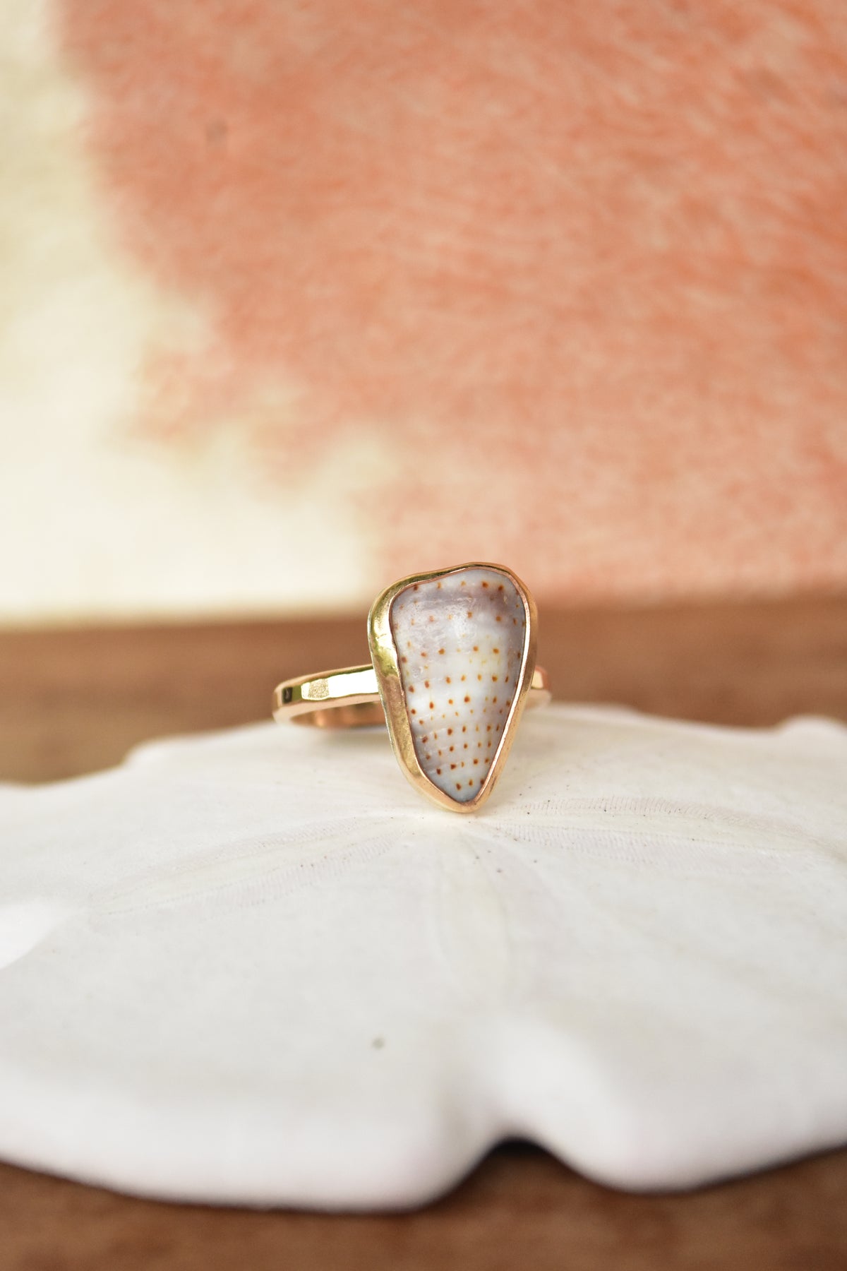 Shell chip ring