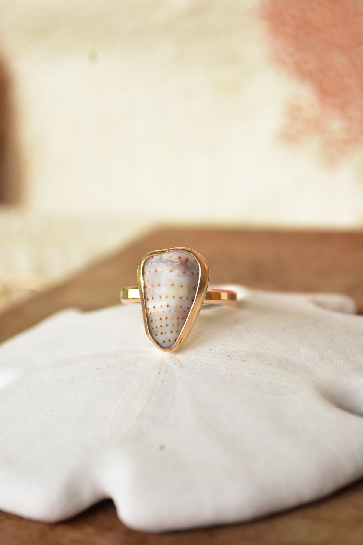 Shell chip ring