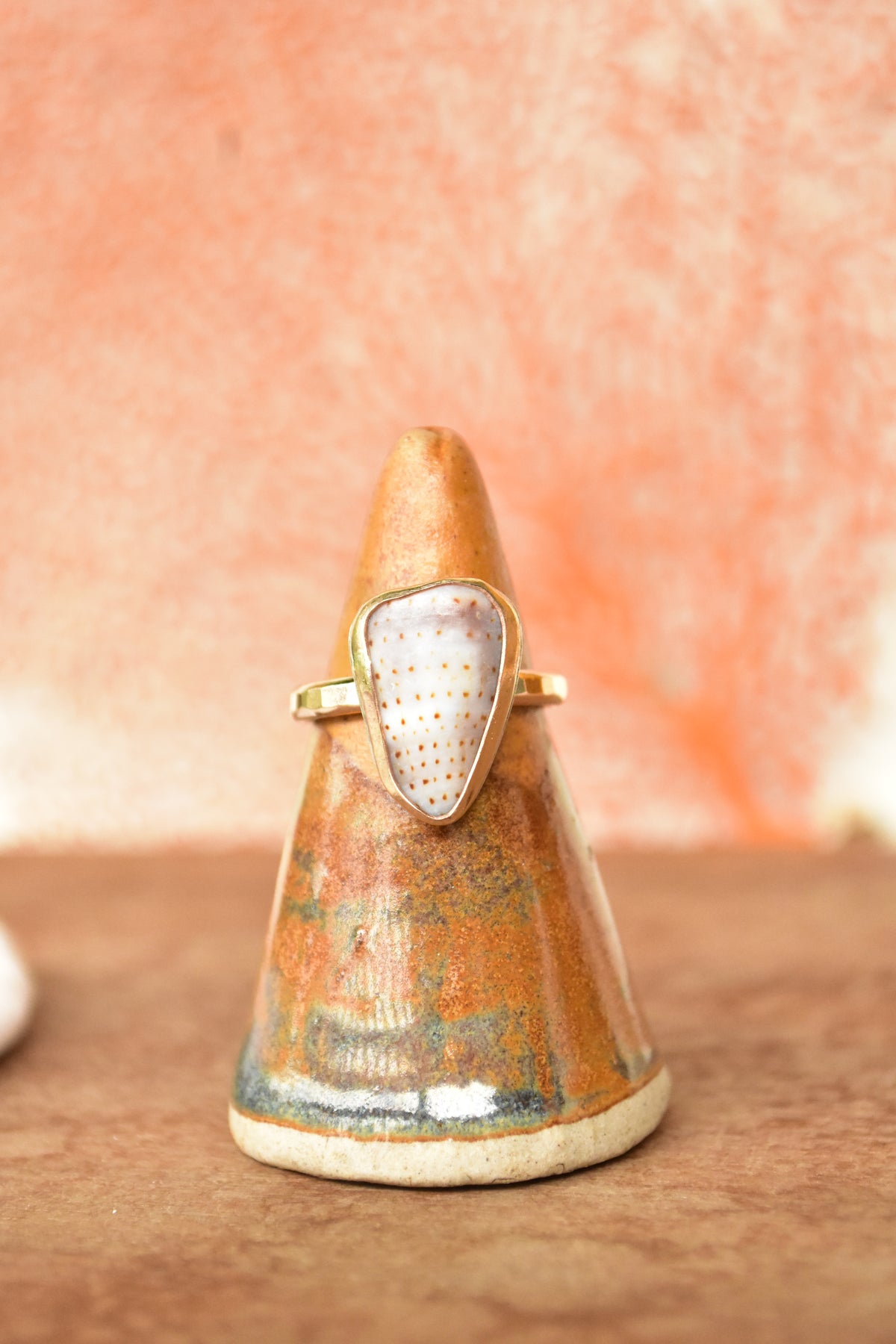 Shell chip ring