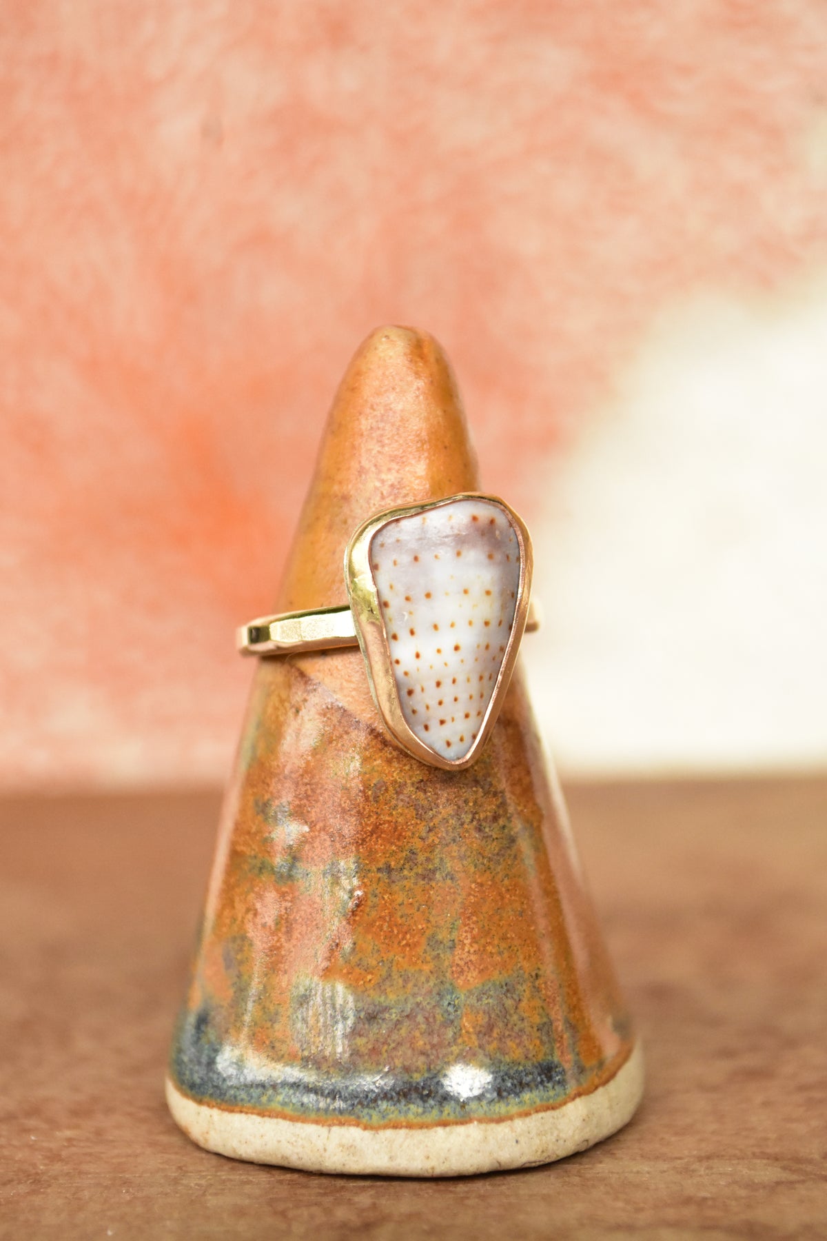 Shell chip ring
