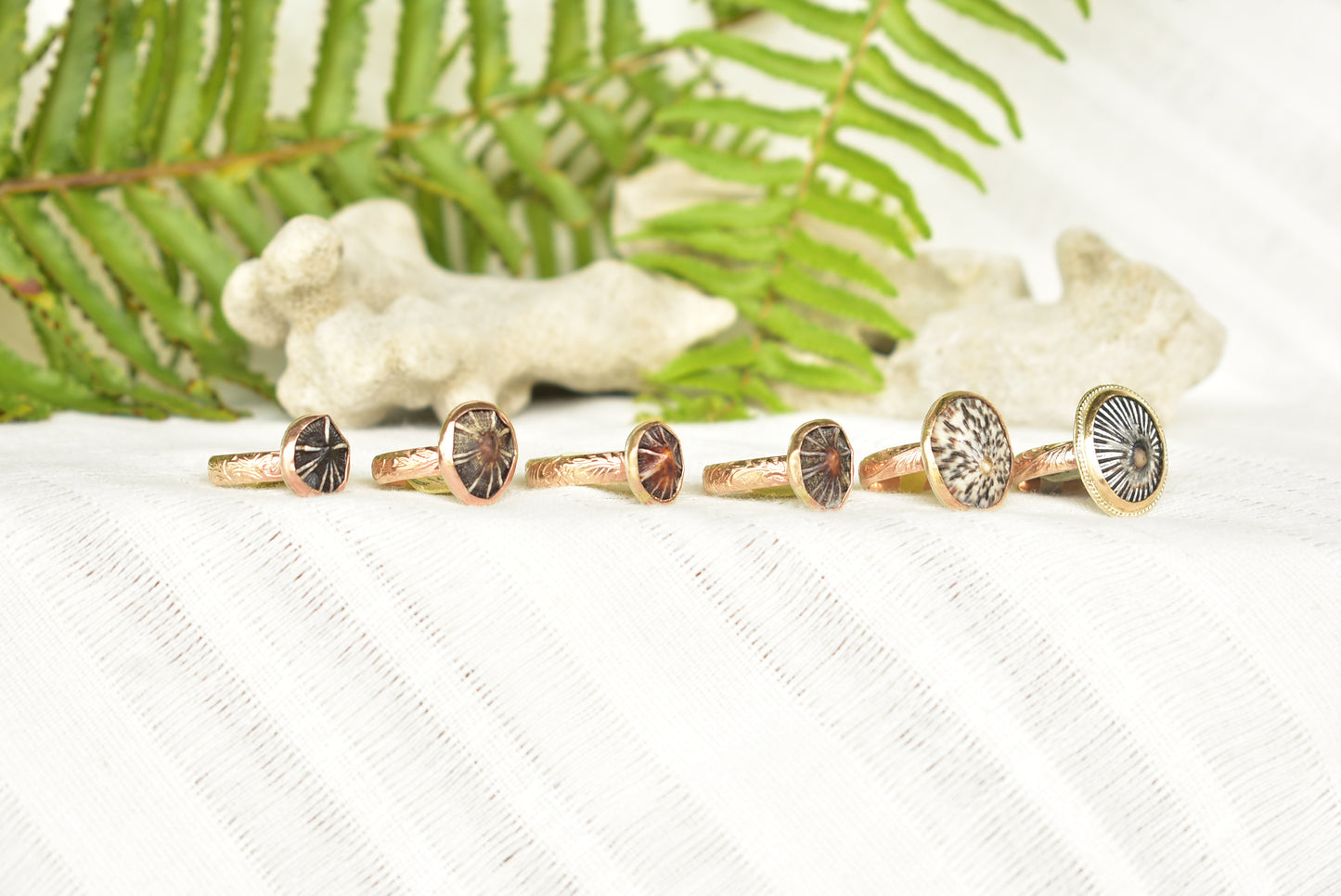 Opihi ring