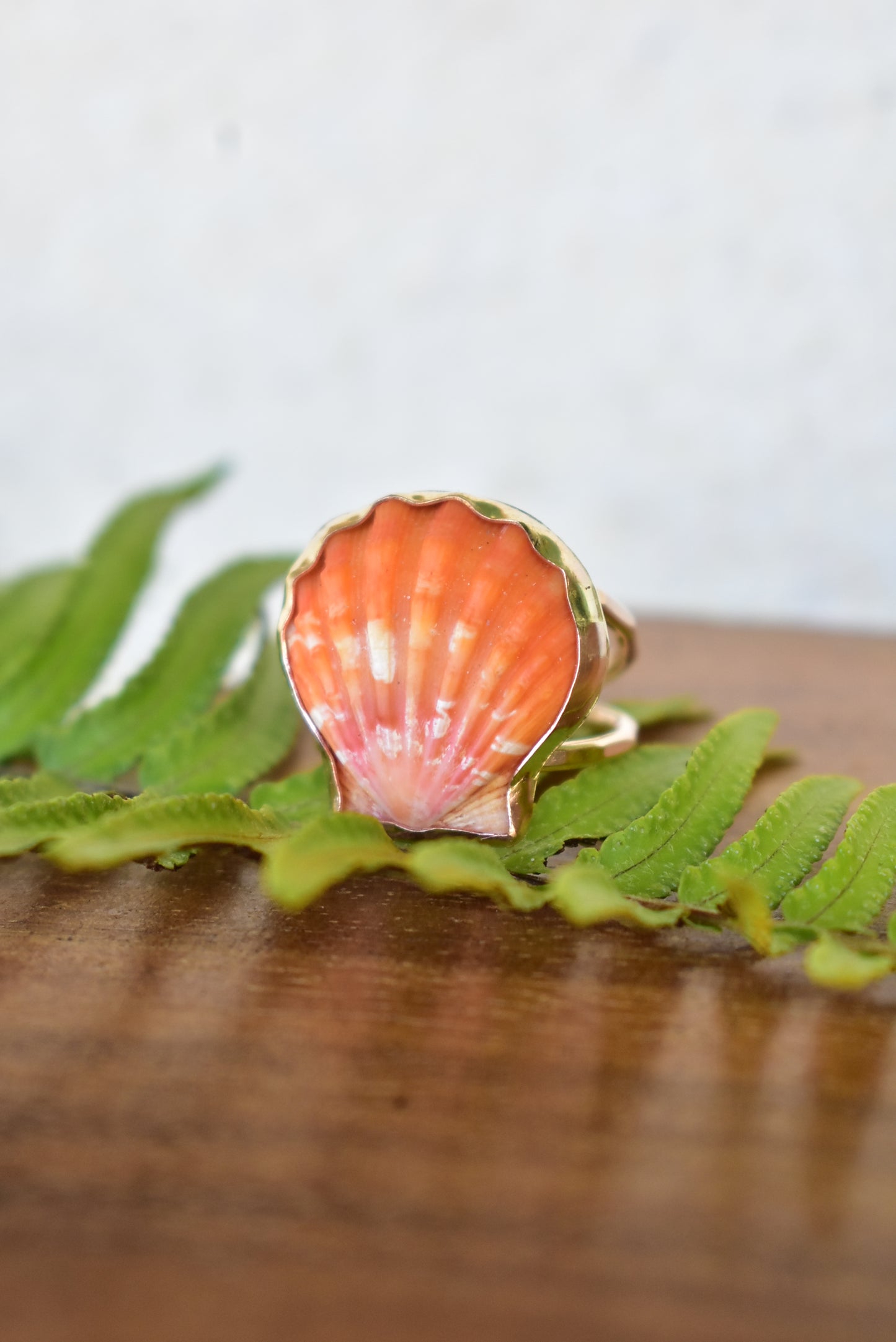 Sunrise shell ring