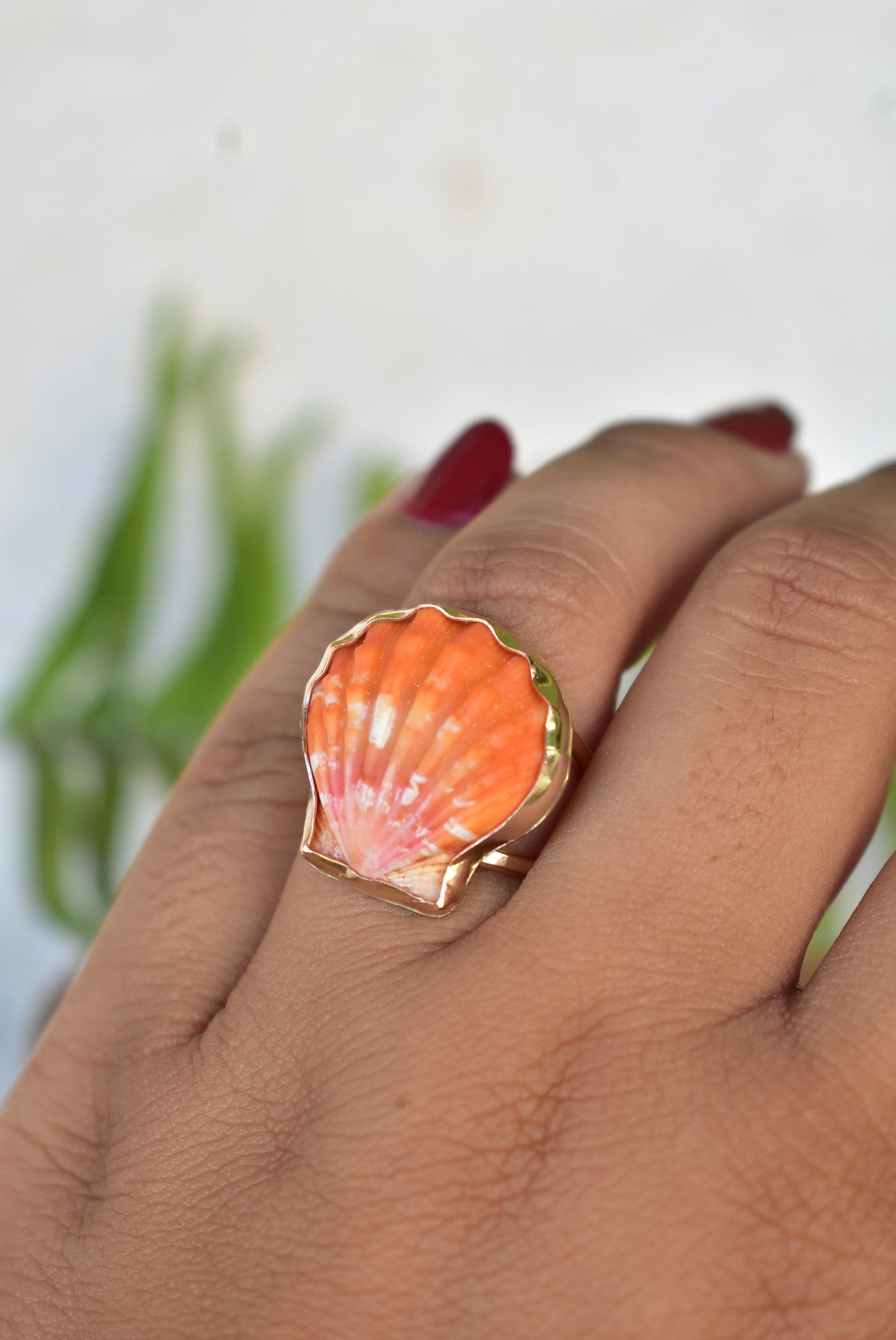 Sunrise shell ring