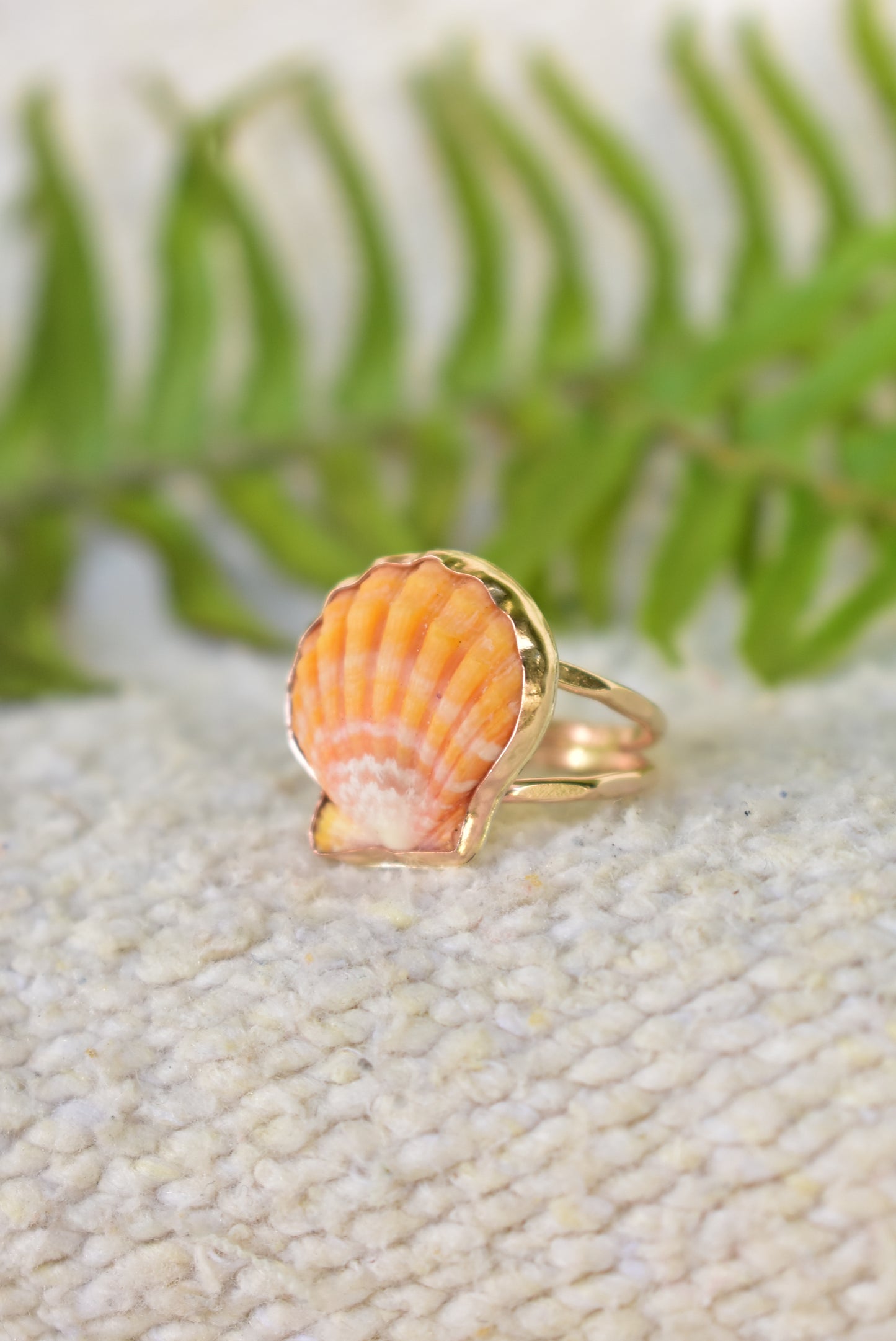 Sunrise shell ring