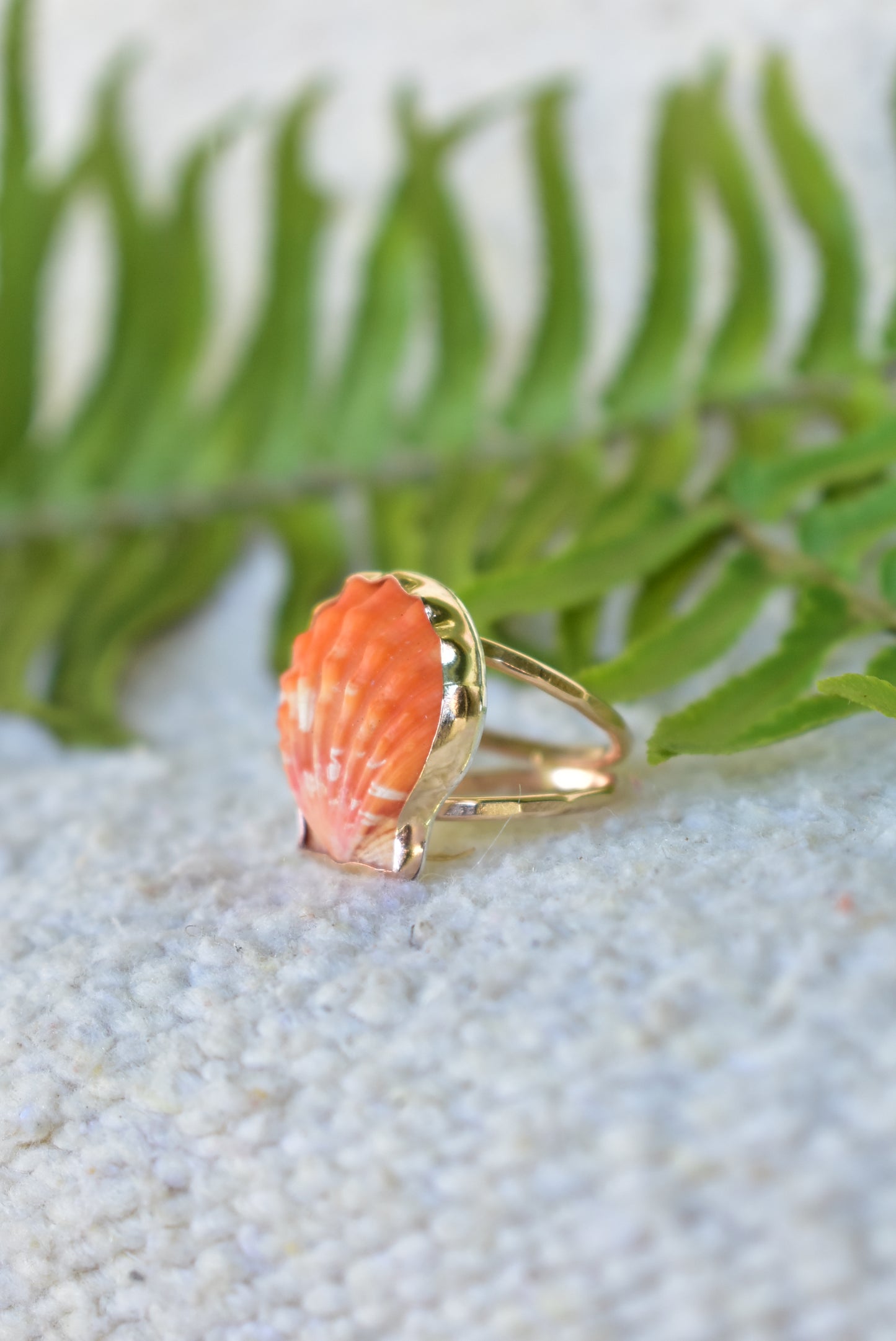 Sunrise shell ring